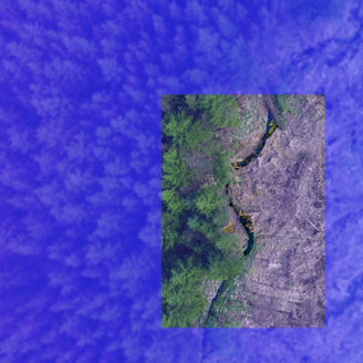 The image shows a dramatic divide between a lush forest on one side and a barren, deforested area on the other.