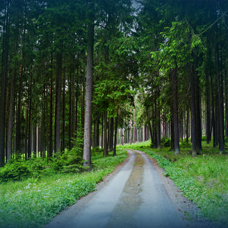 sustainability-strategy