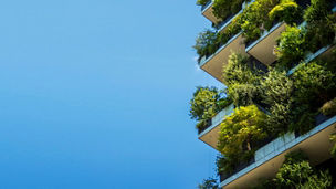 sustainability services