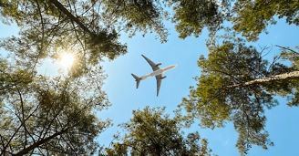 Sustainable skies: Positioning India as a global SAF hub
