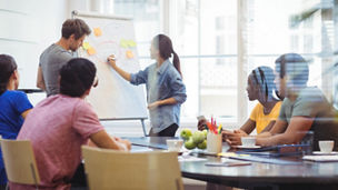 International Development Assistance Services