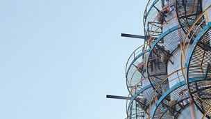 Tameh ilustrační obrázek