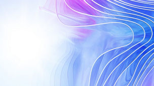 Tax Dispute Resolution