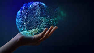 The AI paradox – power, performance, and ‘sustainability’