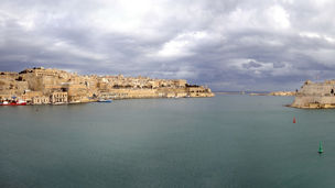 The Shareholder / Investor Status