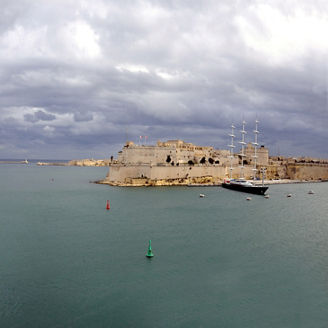 The Shareholder / Investor Status