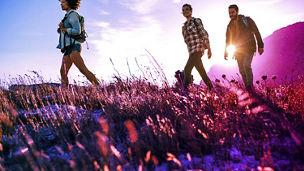 Three friends standing on grass