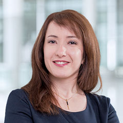 Tirazheh Zare Garizy