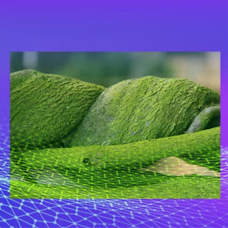 Integrating Nature Tech: