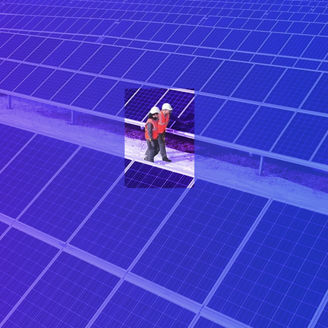 Twee mannen lopen langs zonnepanelen.