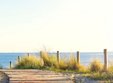 ccs-newsletter-banner