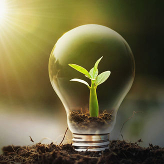 concept idea saving energy young plant and light bulb