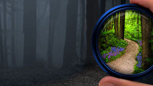 tw-forest-path-telescope-banner