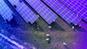 Man working with AI software on tablet