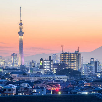 Tokyo city view with Tokyo skytree and mountain fuji