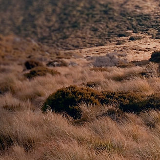 Close up of smiling businessmen discussing documents with graphs and charts in a modern office