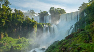 Waterfall greenery