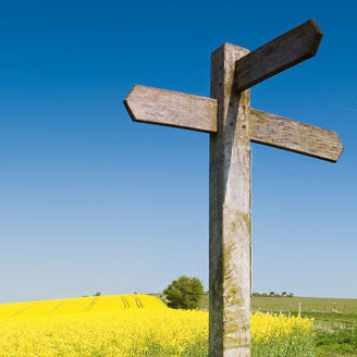 Signpost on yellow rape field