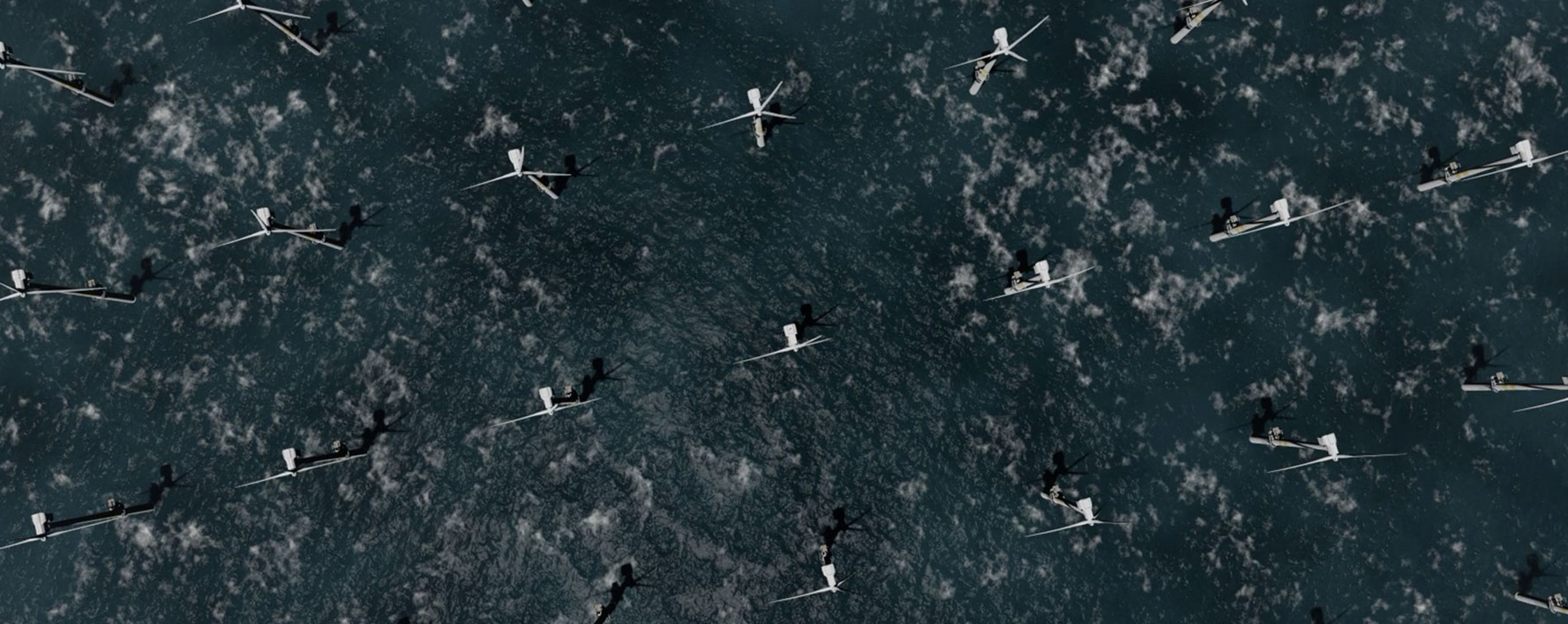 wind turbines in sea bird perspective