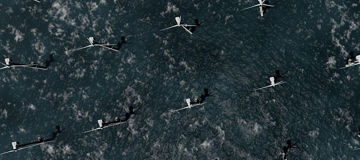 wind turbines in sea bird perspective