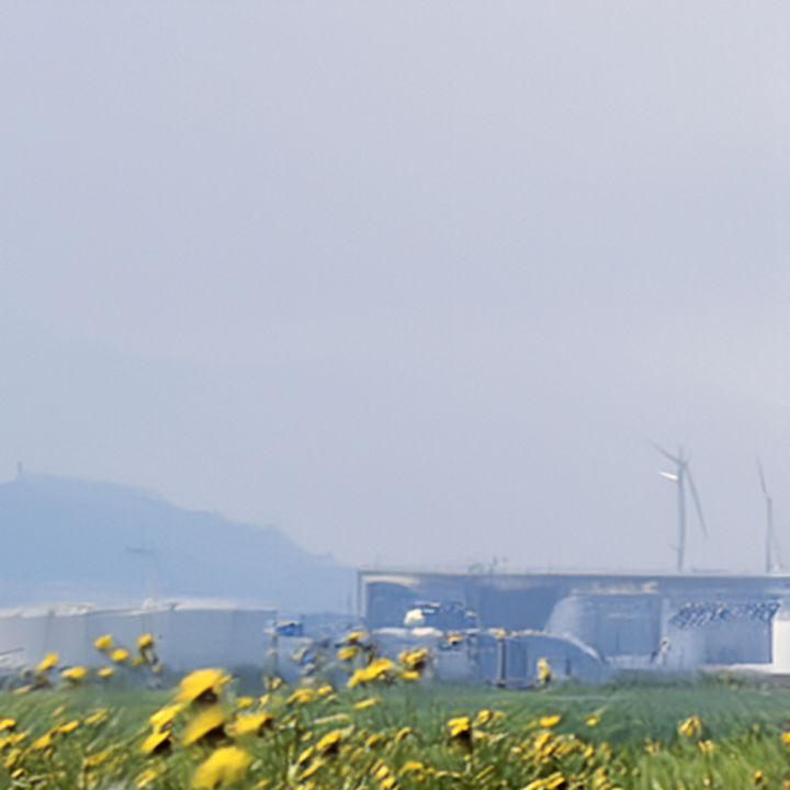 Windkraftanlagen und sonnenblume
