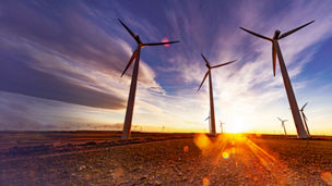 Windmill farm and sunlight