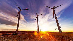 Windmill farm and sunlight