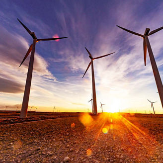 Windmill farm and sunlight