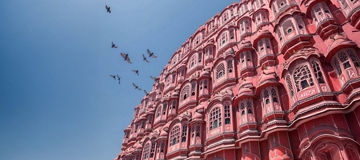 Winning India’s consumer decade: The precision-led GTM blueprint for CXOs