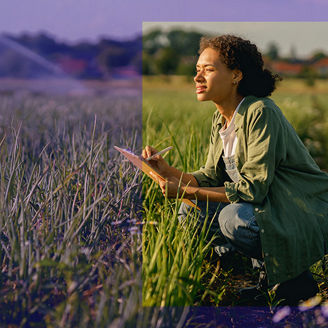 woman-in-a-field-banner