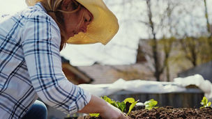 woman planting