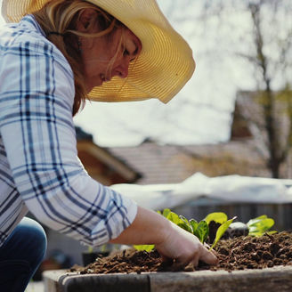 woman planting