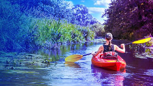 woman rowing the boat