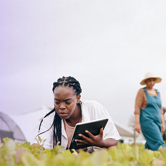 Woman studying crops