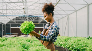 women-doing-agriculture