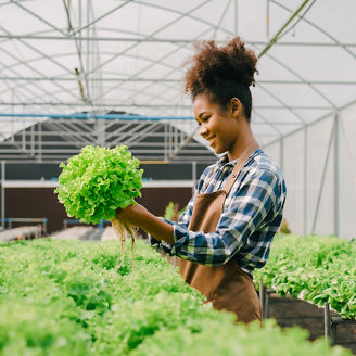 women-doing-agriculture