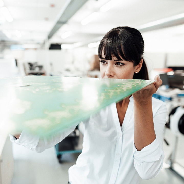 Manufactura y Maquila