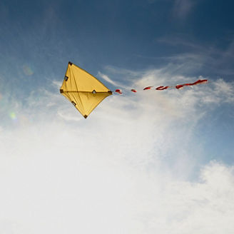 Kite in the sky