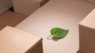 Ilustrační obrázek