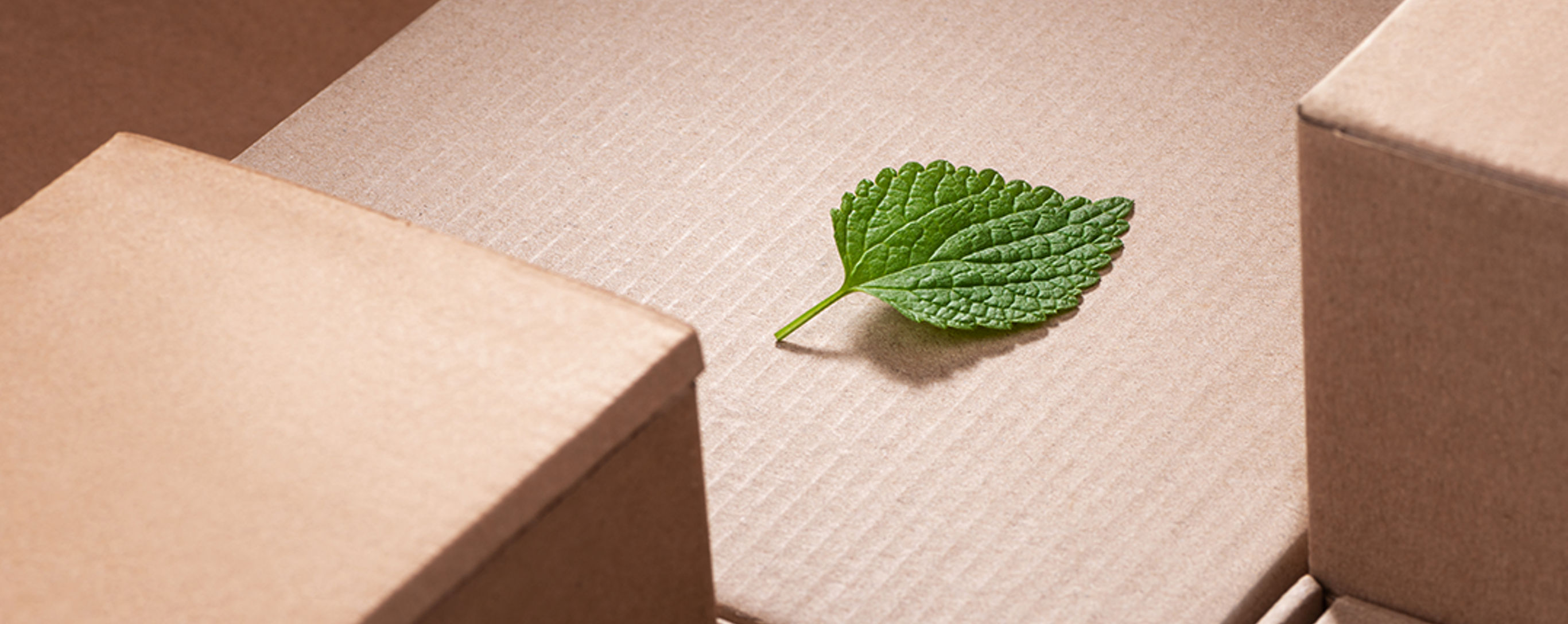 Ilustrační obrázek