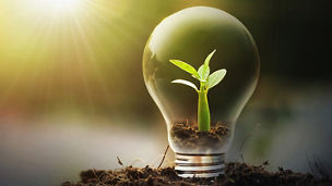 Ilustrační obrázek