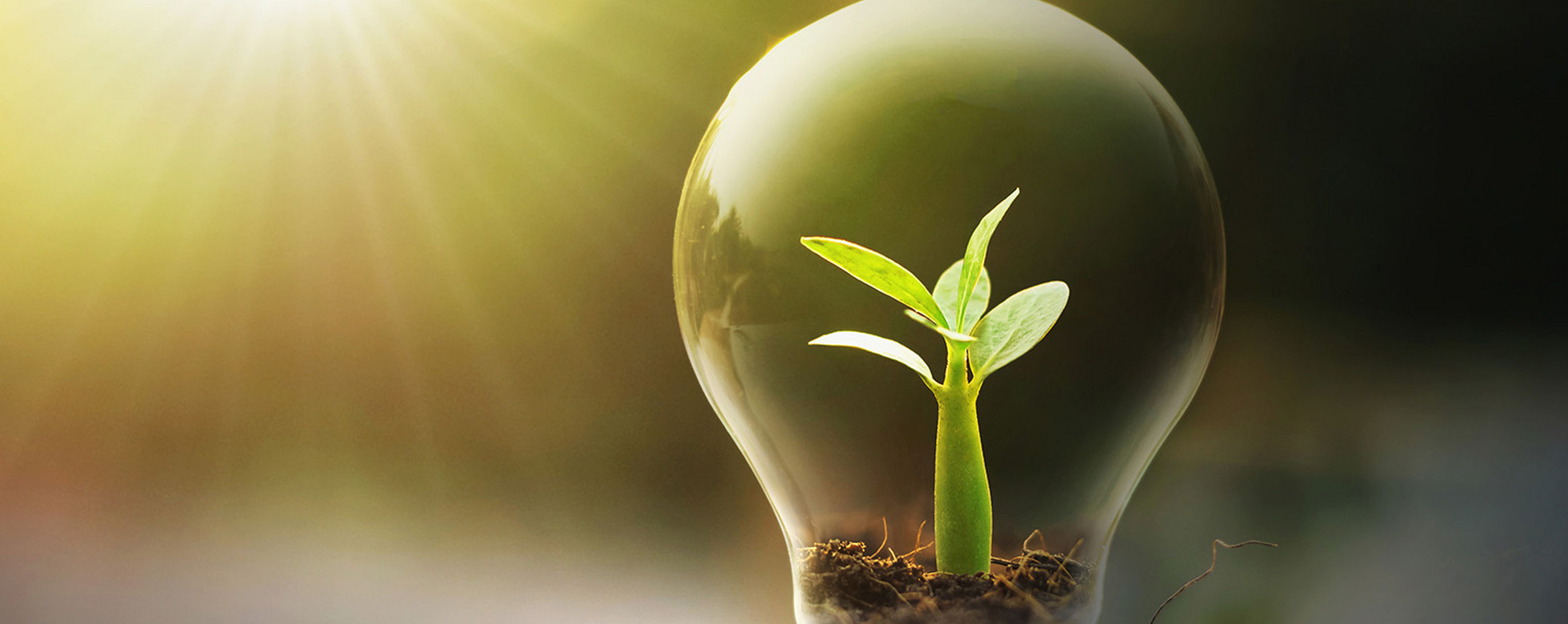 Ilustrační obrázek