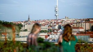 Ilustrační obrázek