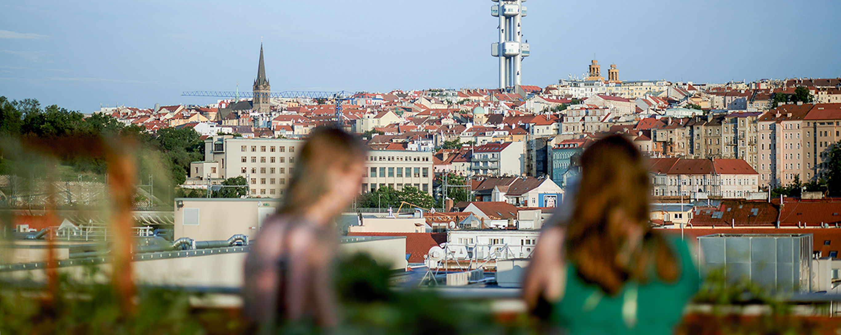 Ilustrační obrázek