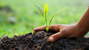 Ilustrační obrázek