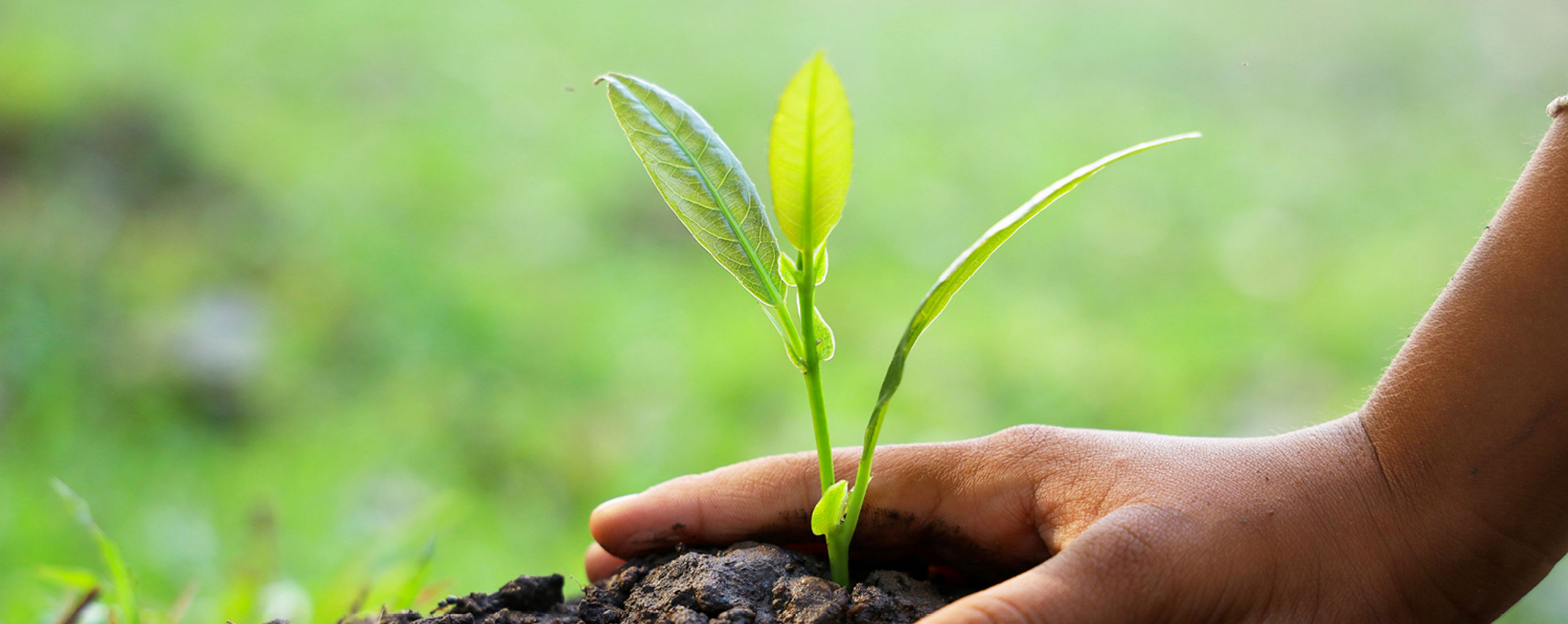 Ilustrační obrázek