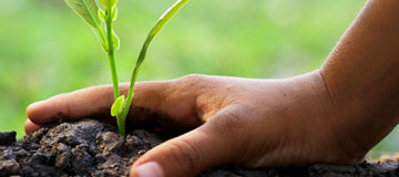 Ilustrační obrázek